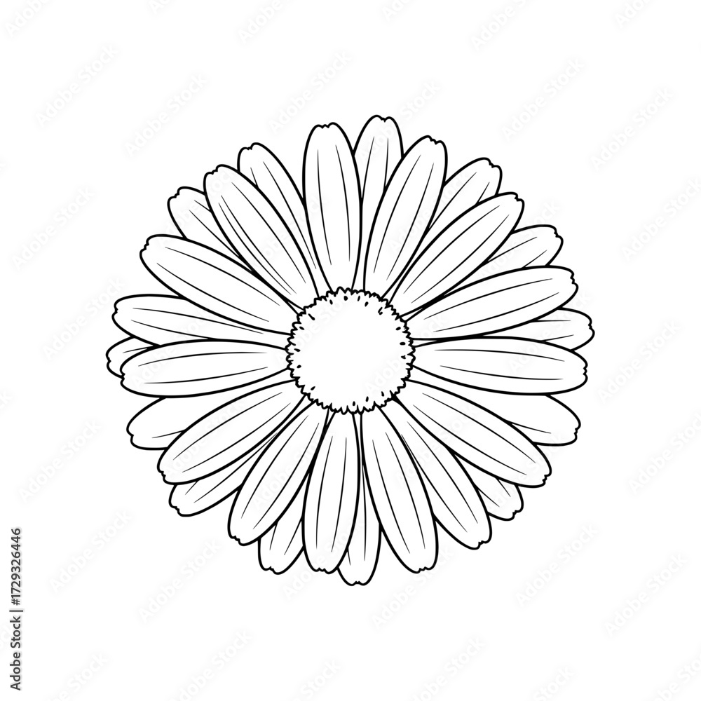 Fototapeta premium Daisy Outline: A meticulously crafted, top-down perspective of a pristine daisy flower, rendered in elegant black and white line art, evoking simplicity.