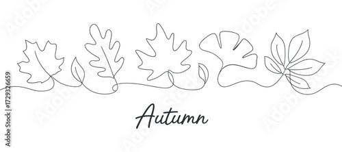 Autumn Season Line Art with Leaves Vector. One Stroke Fall Design.