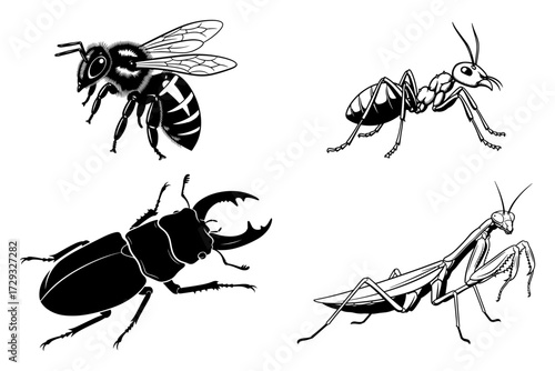 A Set of Insects in a Monochrome Vector Style