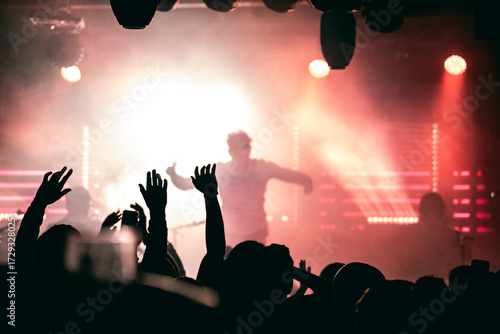crowd at concert