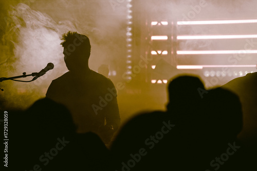 silhouette of live concert