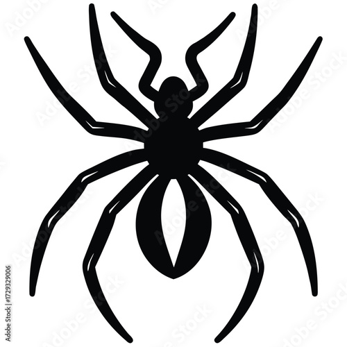 spider pair vector icon