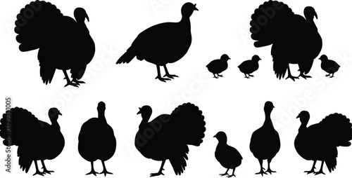 Silhouette turkeys, farm birds, poultry animals, baby chicks, wildlife illustration, domestic fowl, Thanksgiving design, bird shapes, animal silhouettes, rural farming