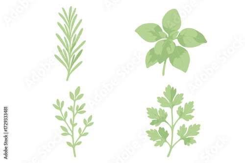 Botanical watercolor style collection of fresh green aromatic culinary herbs including rosemary, basil, thyme, and parsley