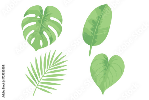 Assortment of vibrant green tropical leaves featuring monstera palm and philodendron botanical elements