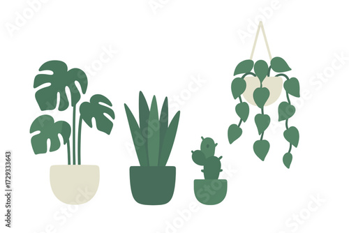 Stylized indoor plants in decorative pots featuring monstera, succulent, cactus, and hanging foliage for home decor