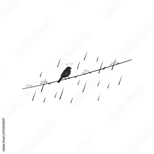 Silhouette of bird perched on wire in rainy weather