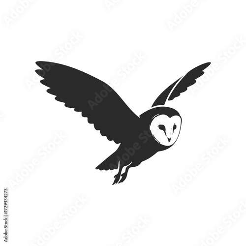 Silhouette of a barn owl in flight with wings spread wide