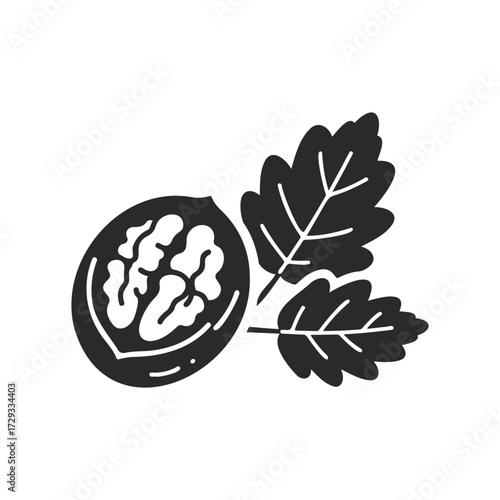 Black and white walnut with leaves icon