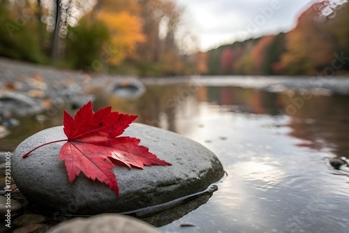 Red Maple Leaf on Stone in Tranquil Autumn River Scene
