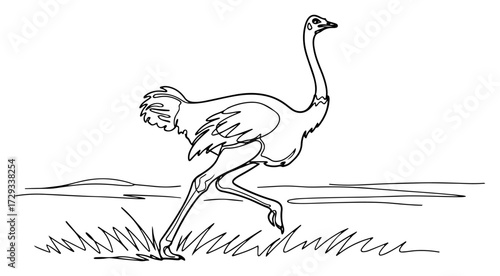 Running Ostrich Continuous One Line Drawing