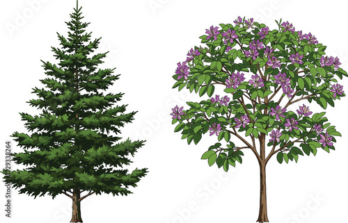 Green pine tree illustration, purple blooming flower tree vector, natural forest background, botanical outdoor design, seasonal decorative artwork, colorful landscape nature