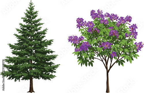 Green pine tree illustration, purple blooming flower tree vector, seasonal nature artwork, botanical outdoor design, natural forest landscape decorative colorful background