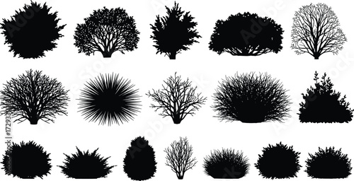 Bush silhouettes, shrub shapes, foliage outlines, garden plants, landscape design, botanical elements, natural greenery, decorative vegetation, isolated vector, nature illustration