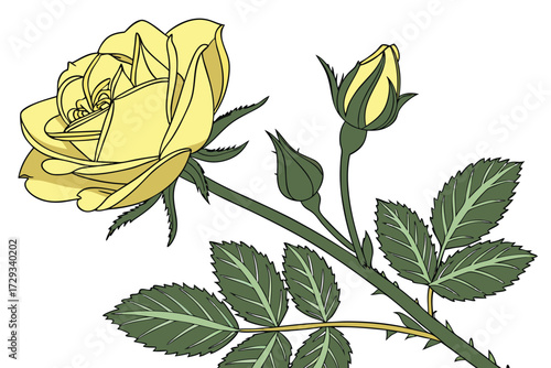  Realistic, highly detailed, photorealistic, studio lighting, macro shot, bright yellow rose, green succulent leaves, minimalist background, clean, studio shot, natural lighting, sharp focus, high q