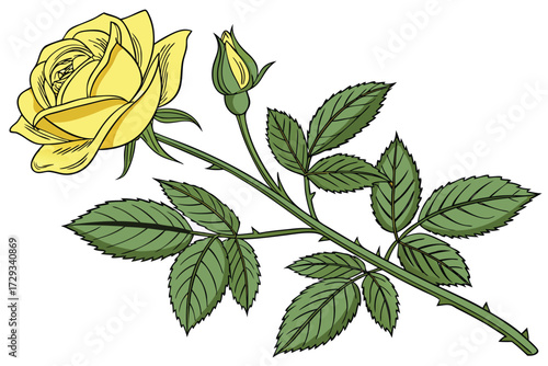  Realistic, highly detailed, photorealistic, studio lighting, macro shot, bright yellow rose, green succulent leaves, minimalist background, clean, studio shot, natural lighting, sharp focus, high q