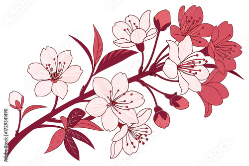  Vibrant, symmetrical floral arrangement, pink and red hues, fresh produce, textured, minimal style, botanical, clean background, visually striking, high contrast, editorial, elegant, detailed, dyna