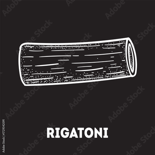 Pasta rigatoni sketch. Italian food. Hand drawn vector illustration. Rigatoni pasta Engraved style. Detailed black and white illustration.