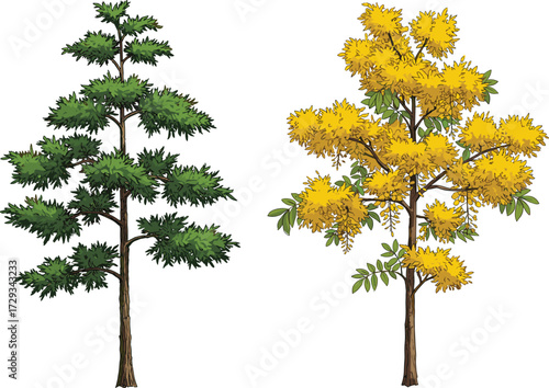 Green pine tree illustration, yellow blossom tree vector, seasonal floral foliage artwork, natural outdoor garden plants, decorative botanical design, spring summer background