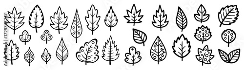 Set of Hand Drawn Leaf Icons
