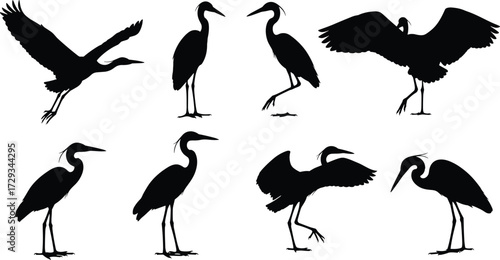 Heron silhouette collection, flying bird shapes, standing heron poses, walking heron design, landing bird illustration, wildlife vector art, nature clipart
