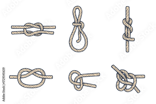Detailed collection of essential rope knots for maritime, climbing, and outdoor activities including square knot, bowline, and figure eight