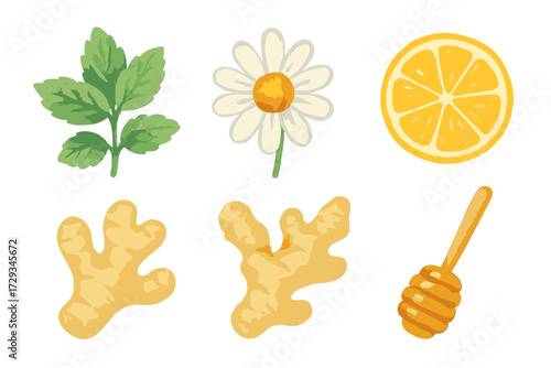Natural ingredients for herbal tea and home remedies including fresh mint, chamomile, lemon, ginger, and sweet honey