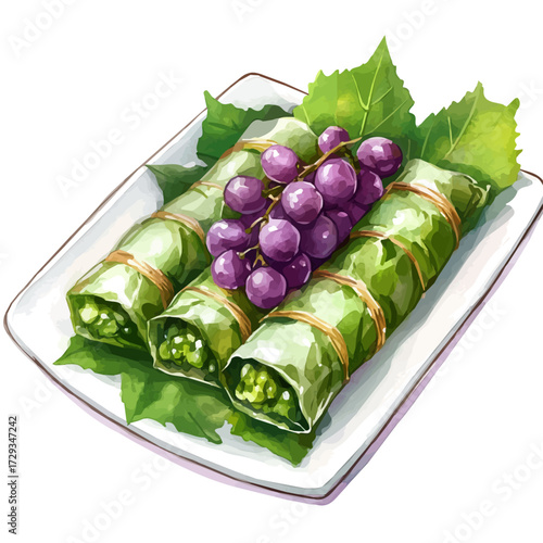 watercolor of Stuffed Grape Leaves Platter, vector, isolated on a white background.