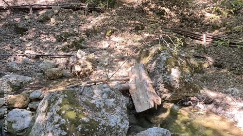 Valley of the Butterflies in Rhodes, Greece, a lush nature reserve with streams, wooden bridges, and thousands of butterflies creating a magical atmosphere. 