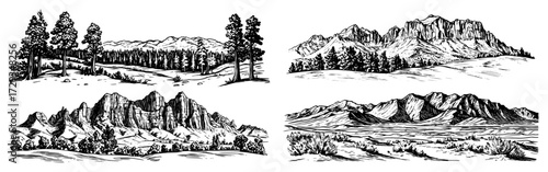 Rocky Mountain Pine Forest Landscape Engraved Vector