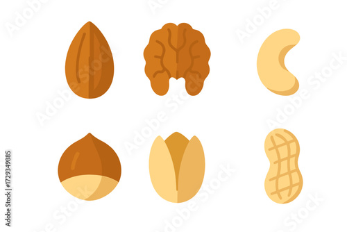 Assortment of popular healthy nuts including almond walnut cashew hazelnut pistachio and peanut varieties