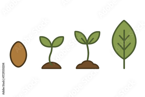 Sequential stages of plant growth and development from a small seed to a fully formed green leaf showing germination