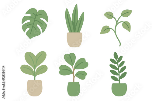 Stylized collection of diverse green potted houseplants perfect for modern interior design and botanical elements