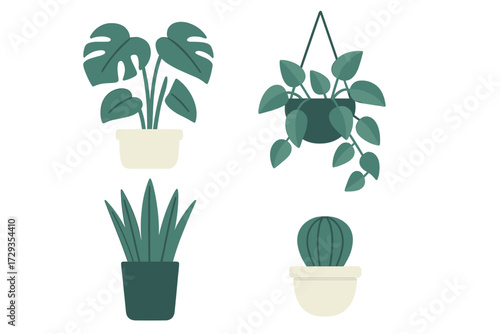 Green potted house plants assortment for interior design, featuring monstera, snake plant, hanging plant, and cactus