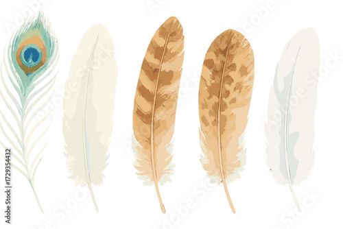 Assortment of natural bird feathers with different colors and patterns, including a vibrant peacock feather