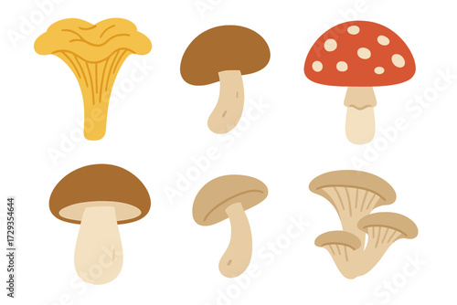 Diverse wild forest mushrooms assortment including chanterelle, shiitake, and fly agaric varieties for nature designs