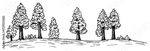 Pine Grove Forest Landscape Panorama Line Art