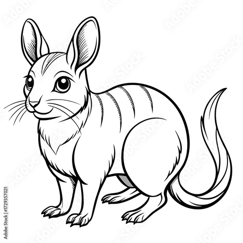 Black and white cartoon drawing of a cute bilby