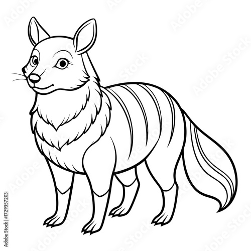 Cartoon numbat illustration standing isolated on white background image