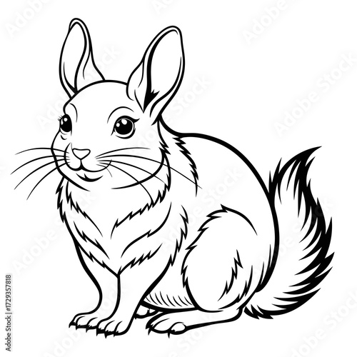 Chinchilla Illustration: Clean black and white line art