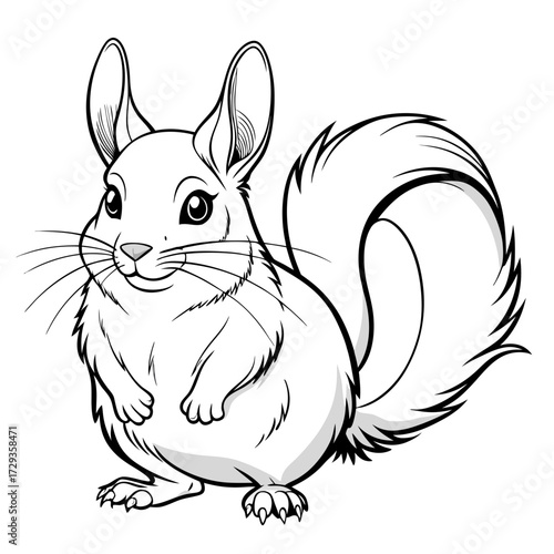 Stylized chinchilla vector illustration in black and white format