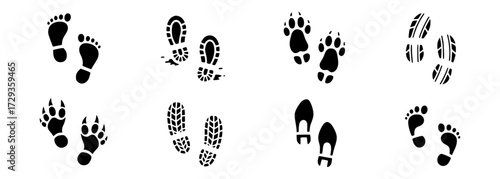 Diverse footprints and paw prints showcase nature's wanderings and animal tracking, a vector journey graphic