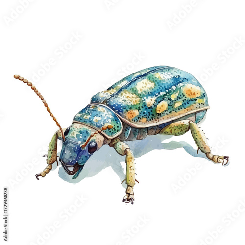 Weevil, watercolor vector, isolated on a white background.