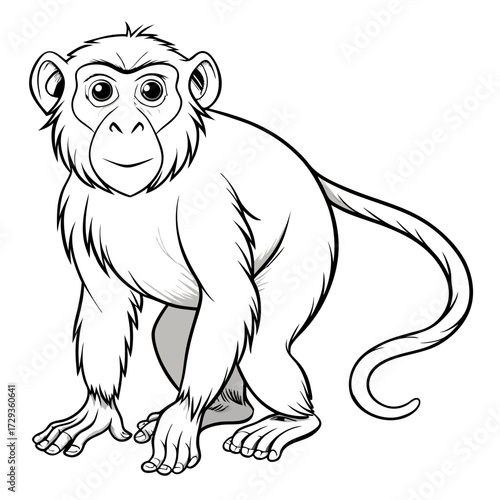 Detailed monkey illustration featuring defined lines and simple shading