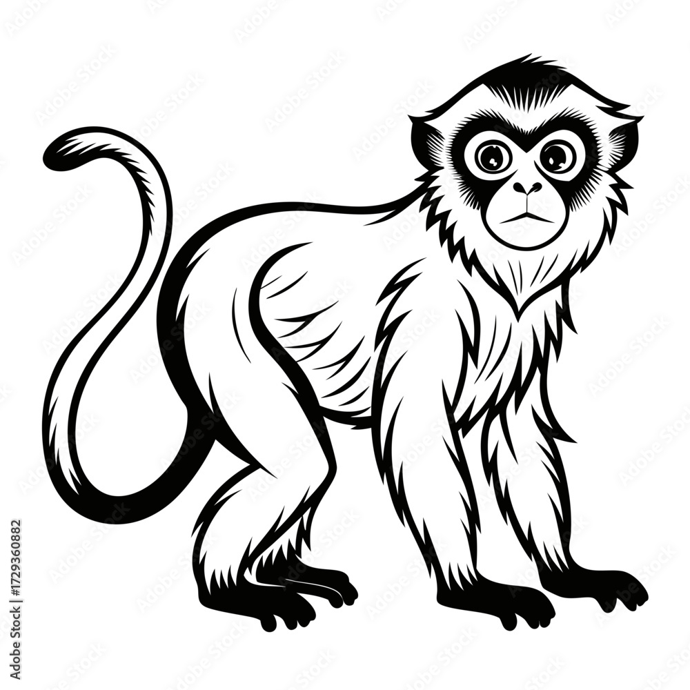 Obraz premium Stylized monkey illustration in black and white vector format