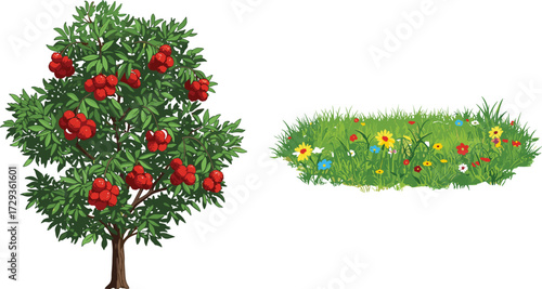Fruit tree with red apples and colorful flower patch on green grass, isolated on white background, botanical illustration for nature, landscape, stock