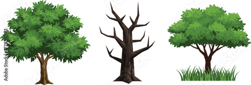 Green healthy tree, barren dry tree, natural wild tree with grass, seasonal contrast, ecology concept, environment change, nature landscape illustration