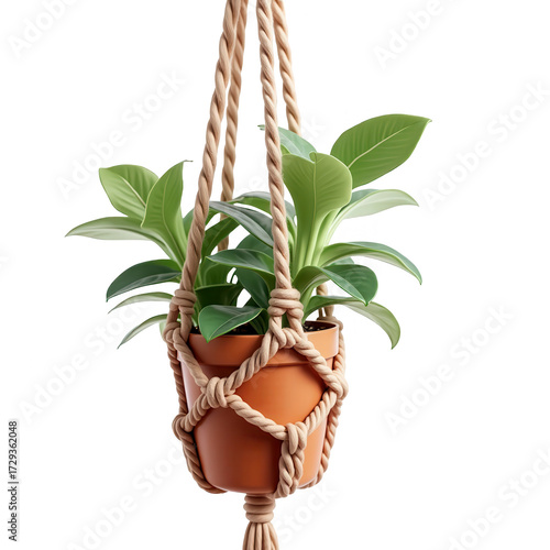 Houseplant in a hanging macrame planter with vibrant green leaves, resting against a stark black backdrop, creating a modern and minimalist aesthetic, and portraying a sense of organic and natural...