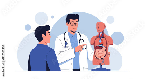 Medical Discussion: Physician Explains Anatomy Using Anatomical Model for Patient Consultation