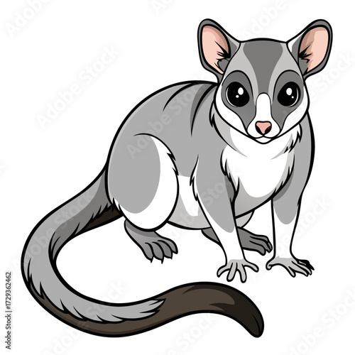 Charming cartoon sugar glider illustration isolated on white background